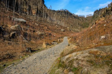 Mavi gökyüzünün altındaki kayalık kanyondaki engebeli taş patika..