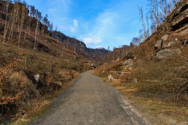 Açık mavi gökyüzü ile kayalık orman arazisi boyunca manzaralı dağ yolu.