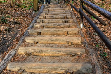 Sonbahar yaprakları ve yapraklarla çevrili orman yolunda kırsal ahşap adımlar..