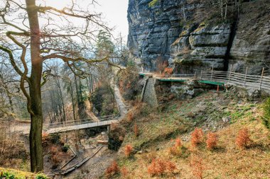 Manzaralı kayalık patika ve sonbahar orman manzarasında köprüler.
