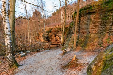 Günbatımında kayalık uçurumlar boyunca manzaralı sonbahar ormanı patikası.