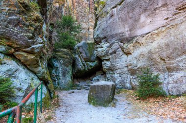 Sonbahar ormanlarında kumtaşı uçurumları ve doğal yaprakları olan kayalık bir patika..