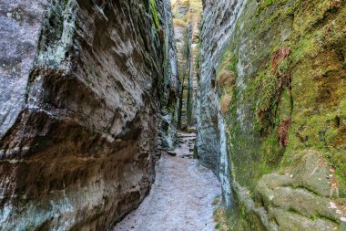Sakin bir kanyonda yosun kaplı duvarları olan dar kayalık bir yol..