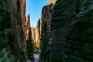 Sersemletici kum taşı oluşumları ve adrspach-teplice kayalarda dar yollar, Çek Cumhuriyeti.