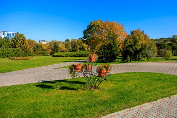 Üstünde tencere olan küçük bir ağaç bir parktadır. Park binalarla çevrili ve tuğla bir geçidi var. Gökyüzü mavi ve hiç bulut yok.