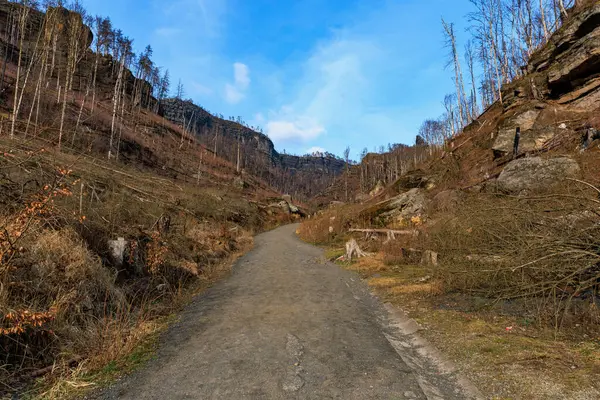 Açık mavi gökyüzü ile kayalık orman arazisi boyunca manzaralı dağ yolu.