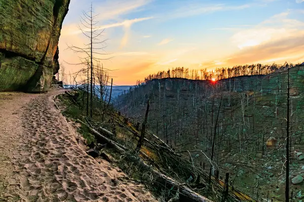Kum yolu ve çıplak ağaçlarla kayalık kanyon yolunda çarpıcı bir gün batımı..