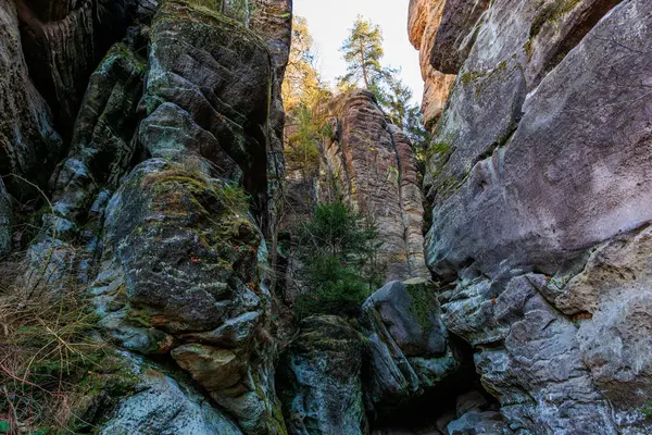 Heybetli kaya oluşumları ve dingin kanyon manzarasında yemyeşil bitki örtüsü.
