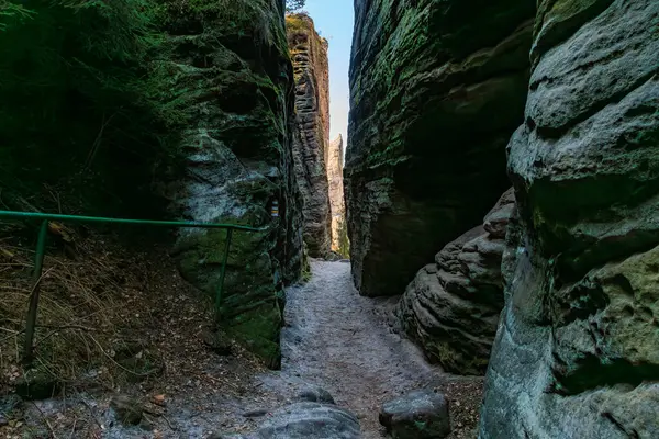 Görkemli kumtaşı geçidinde, yemyeşil, dar kayalık bir yol..