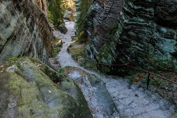 Orman arazisindeki kayalık vadiden geçen taş patika..