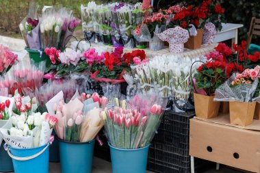 7 Mart 2024 Balti Moldova. İllüstrasyon başyazısı. Bahar tatili için çiçek fuarı