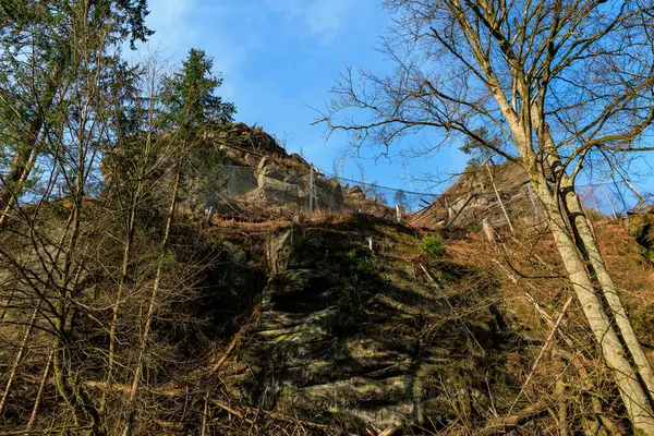Ağaçlarla kaplı kayalık yamaçlar ve ormanlık alanda açık mavi gökyüzü. 15 Mart 2025, Bohem İsviçre, Çek Cumhuriyeti.
