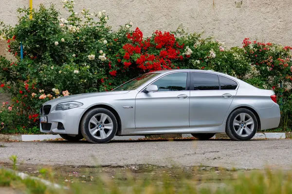 Şehir caddesinde canlı gül çalılarının yanına park edilmiş gümüş sedan. 29 Haziran 2023 Beltsy Moldova.