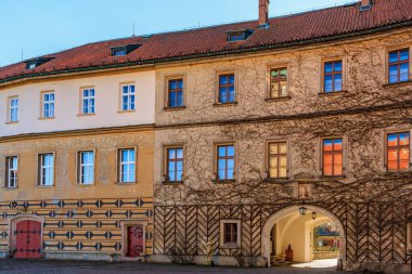 Sarmaşık kaplı cepheli ve kemerli tarihi Avrupa binası.