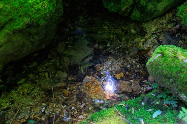 Yosun kaplı bir kaya ve küçük bir su akıntısı. Yosun yeşil ve su berrak.