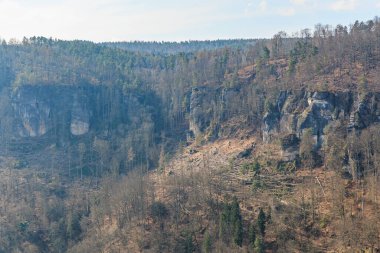 İlkbaharın başlarında orman kayalıkları ve kayalık yamaçların manzarası.