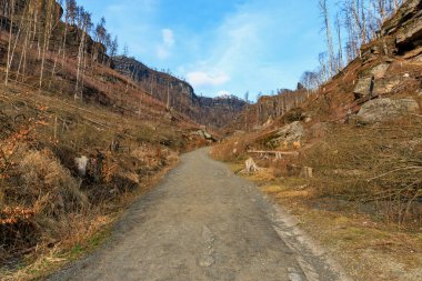 Güneşli bir günde açık mavi gökyüzünün altında kayalık kanyon boyunca dağ yolu.
