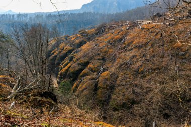 Dağlık arazide seyrek bitki örtüsü bulunan engebeli kayalık yamaçların manzarası..