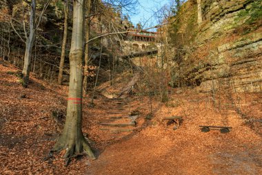 Ormandaki tarihi dağ evine giden sonbahar yolu ahşap bankla kaplı..