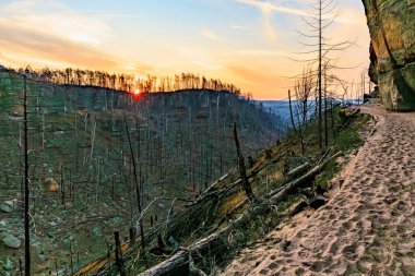 Kayalık kanyon üzerinde gün batımı kumlu patika ve yanmış ağaçlarla.