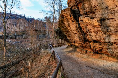 Sonbaharda dev kumtaşı kayalıkları boyunca manzaralı orman yolu.