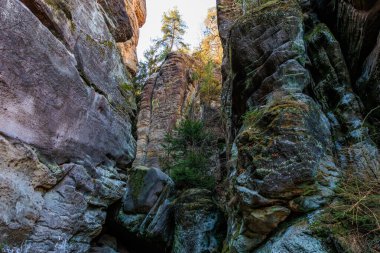 Dar bir kanyonda görkemli kaya oluşumları ve yeşil ağaçlar..