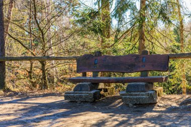 Sakin bir ormanda, ağaçlarla aydınlatılmış, taşralı ahşap bir bank..
