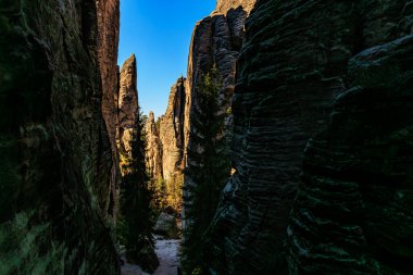 Dar kanyonda yükselen kaya oluşumları ve çam ağaçları.