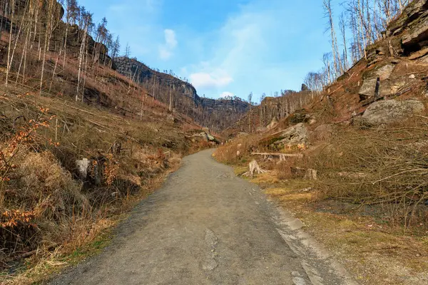 Güneşli bir günde açık mavi gökyüzünün altında kayalık kanyon boyunca dağ yolu.
