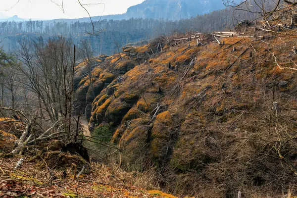 Dağlık arazide seyrek bitki örtüsü bulunan engebeli kayalık yamaçların manzarası..