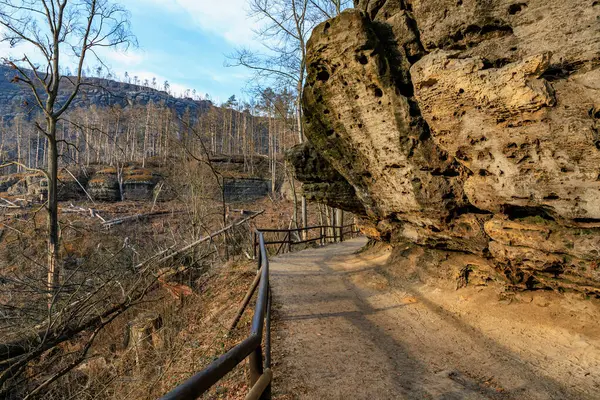 Kışın orman manzarasında kumtaşı oluşumları boyunca manzaralı patikalar..