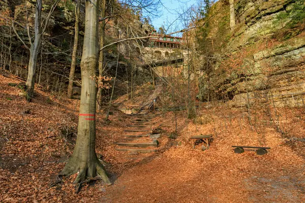 Ormandaki tarihi dağ evine giden sonbahar yolu ahşap bankla kaplı..