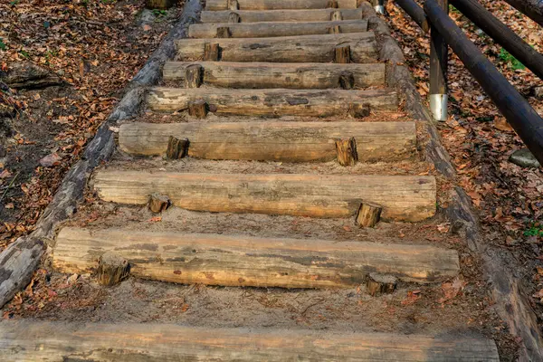 Sonbahar ormanı yolunda yaprakları dökülen ahşap merdivenler..