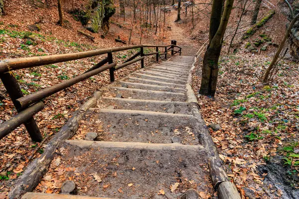 Sonbahar ormanı yolunda yaprakları dökülen ahşap merdivenler..