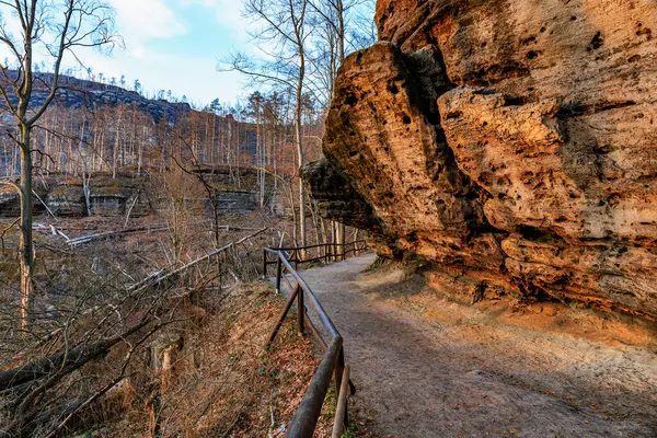Sonbaharda dev kumtaşı kayalıkları boyunca manzaralı orman yolu.