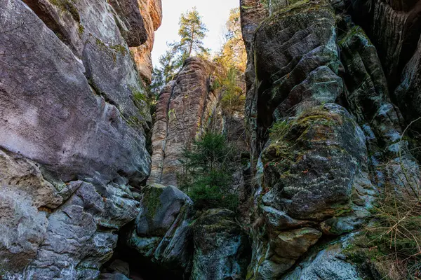 Dar bir kanyonda görkemli kaya oluşumları ve yeşil ağaçlar..