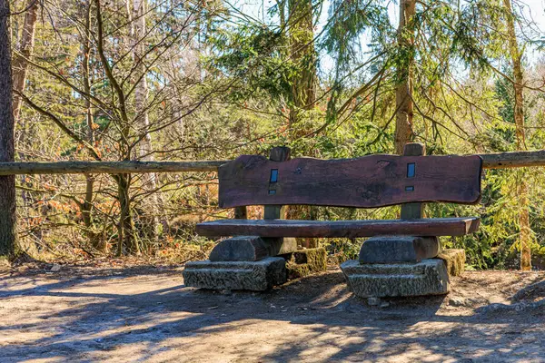 Sakin bir ormanda, ağaçlarla aydınlatılmış, taşralı ahşap bir bank..