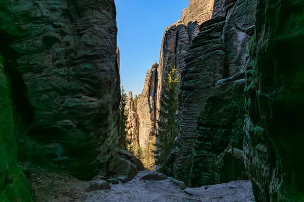 Güneşli uçurumları ve berrak gökyüzü olan görkemli kayalık kanyon..