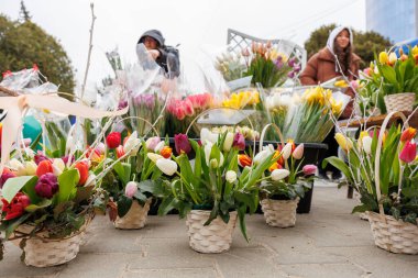 7 Mart 2024 Balti Moldova. İllüstrasyon başyazısı. Bahar tatili için çiçek fuarı