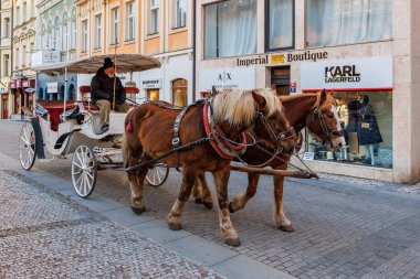 Tarihi şehir caddesinde yaşlı beyaz bir erkekle at arabası. 18 Mart 2025, Karlovy Vary, Çek Cumhuriyeti.