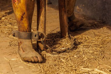 Tarihsel ortamda kölelik tasviri. 18 Mart 2025, Madalyon, Çek Cumhuriyeti.