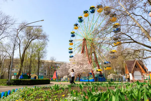 Bir kadın parktaki atlı karıncanın yanından geçiyor. Park ağaçlar ve çiçeklerle dolu ve etrafta dolaşan birkaç kişi var. Atmosfer canlı ve neşeli. 1 Nisan 2024 Balti Moldova