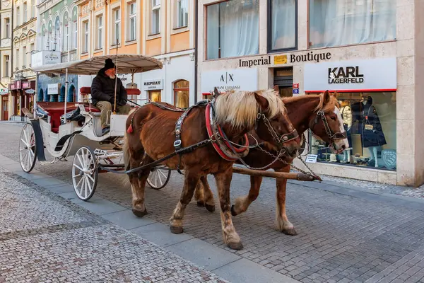 Tarihi şehir caddesinde yaşlı beyaz bir erkekle at arabası. 18 Mart 2025, Karlovy Vary, Çek Cumhuriyeti.