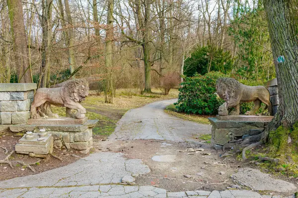 Taş aslanlar, sakin park ortamındaki yapraksız ağaçların arasında ağaçların arasından geçerek ağaçların etrafını sarıyor. 17 Mart 2025, Konopiste Şatosu, Çek Cumhuriyeti.