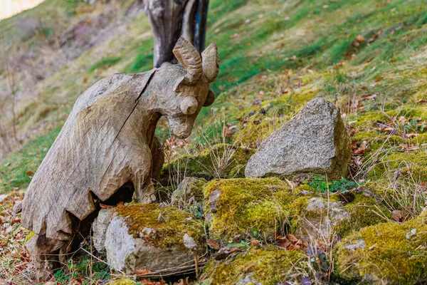 Tahta keçi heykeli doğal ormanlarda yosun kaplı kayalarla kaplanmış. 18 Mart 2025, Madalyon, Çek Cumhuriyeti.