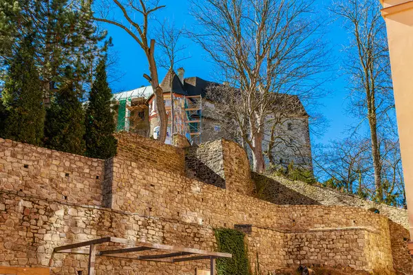 Çıplak ağaçları ve açık mavi gökyüzü olan tarihi taş kale. 18 Mart 2025, Madalyon, Çek Cumhuriyeti.