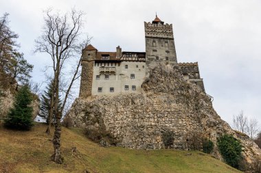 Rocky Hill 'deki tarihi kepek şatosu yapraksız ağaçlarla çevrili..