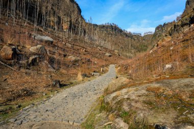 Sonbahar orman kanyonunda mavi gökyüzü ile kayalık yol.