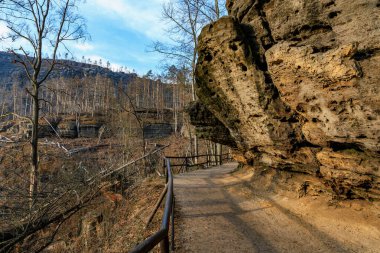 Sonbaharın sonlarında uçurum manzaralı ormanın içindeki kayalık yol..