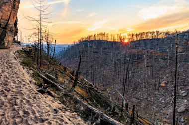 Kumlu ve seyrek ağaçlarla kayalık kanyon üzerinde nefes kesici bir gün batımı..